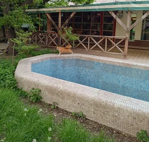 Фото 2 4-комн. участок в Яшнабадском районе