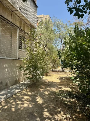 Фото 8 2-комн. квартира в Массив Чизельный