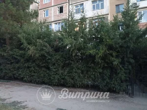 Фото 4 4-комн. квартира в Юнусабадском районе